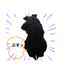 ショコラッチ（個別スタンプ：2）