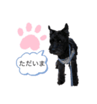 ショコラッチ（個別スタンプ：4）