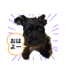 ショコラッチ（個別スタンプ：6）