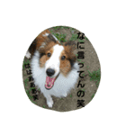 いちみ1（個別スタンプ：5）