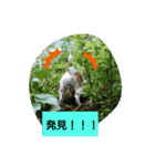 原家のあずき（個別スタンプ：5）
