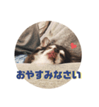 our sweet WILL☆（個別スタンプ：6）