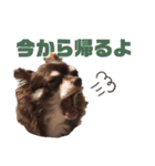 our sweet WILL☆（個別スタンプ：11）
