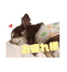 our sweet WILL☆（個別スタンプ：14）