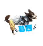 our sweet WILL☆（個別スタンプ：16）