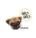 めろんりんご3（個別スタンプ：21）