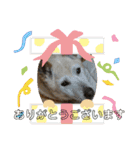 保護犬達いろいろ（個別スタンプ：4）