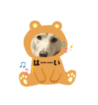 保護犬達いろいろ（個別スタンプ：10）