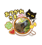 保護犬達いろいろ（個別スタンプ：11）