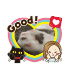 レオくん（スコティッシュフォールド）（個別スタンプ：5）