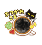 レオくん（スコティッシュフォールド）（個別スタンプ：7）