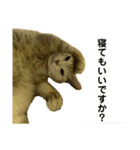 猫3姉妹の日常（個別スタンプ：2）