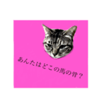 猫3姉妹の日常（個別スタンプ：4）