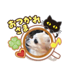 ユリコスタンプ（個別スタンプ：9）