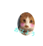 うめとくりのユ ニ ー ク  ス タ ン プ  2（個別スタンプ：2）