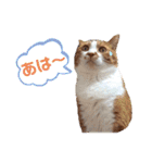 うめとくりのユ ニ ー ク  ス タ ン プ  2（個別スタンプ：7）