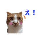 うめとくりのユ ニ ー ク  ス タ ン プ  2（個別スタンプ：8）
