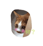 うめとくりのユ ニ ー ク  ス タ ン プ  2（個別スタンプ：24）