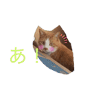 うめとくりのユ ニ ー ク  ス タ ン プ  2（個別スタンプ：26）