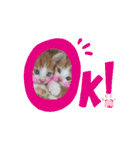 うめとくりのユ ニ ー ク  ス タ ン プ  2（個別スタンプ：27）