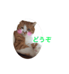うめとくりのユ ニ ー ク  ス タ ン プ  2（個別スタンプ：31）