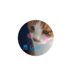 うめとくりのユ ニ ー ク  ス タ ン プ  2（個別スタンプ：32）
