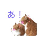 うめとくりのユ ニ ー ク  ス タ ン プ  2（個別スタンプ：33）
