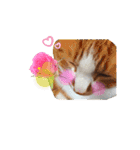 うめとくりのユ ニ ー ク  ス タ ン プ  2（個別スタンプ：37）