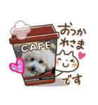 ティアちゃん＆リオくん（個別スタンプ：3）