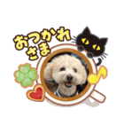 ティアちゃん＆リオくん（個別スタンプ：17）