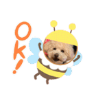 ティアちゃん＆リオくん（個別スタンプ：23）