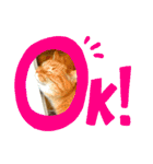 Be cats（個別スタンプ：9）