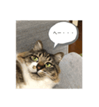 マーちろ(=^x^=)（個別スタンプ：4）