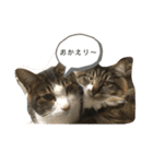 マーちろ(=^x^=)（個別スタンプ：5）