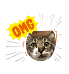 マーちろ(=^x^=)（個別スタンプ：6）