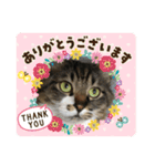 マーちろ(=^x^=)（個別スタンプ：7）