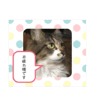 マーちろ(=^x^=)（個別スタンプ：11）