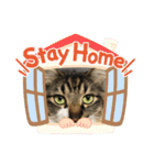 マーちろ(=^x^=)（個別スタンプ：12）