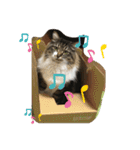 マーちろ(=^x^=)（個別スタンプ：16）