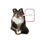 マーちろ(=^x^=)（個別スタンプ：20）