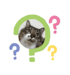 マーちろ(=^x^=)（個別スタンプ：21）
