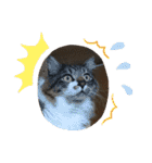 マーちろ(=^x^=)（個別スタンプ：22）