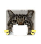 マーちろ(=^x^=)（個別スタンプ：24）