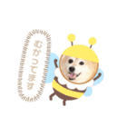 羽取チャロ（個別スタンプ：6）