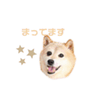 羽取チャロ（個別スタンプ：7）