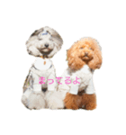 toypodollesister（個別スタンプ：4）