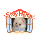 むちゃくんスタンプ（個別スタンプ：1）
