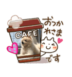むちゃくんスタンプ（個別スタンプ：4）