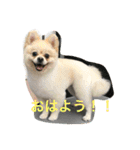 むちゃくんスタンプ（個別スタンプ：6）
