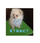 むちゃくんスタンプ（個別スタンプ：11）